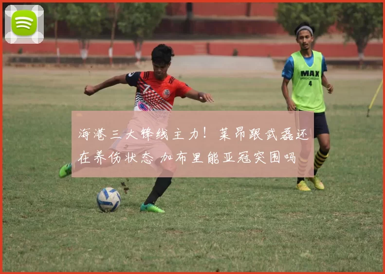 海港三大锋线主力!莱昂跟武磊还在养伤状态 加布里能亚冠突围吗