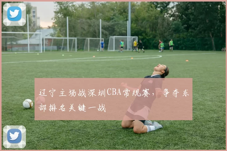 辽宁主场战深圳CBA常规赛，争夺东部排名关键一战