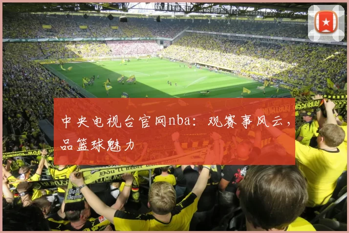 中央电视台官网nba：观赛事风云，品篮球魅力