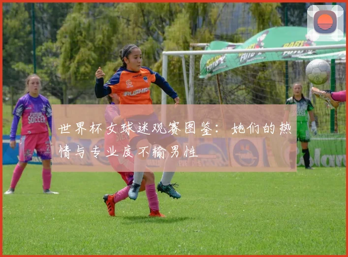 世界杯女球迷观赛图鉴：她们的热情与专业度不输男性